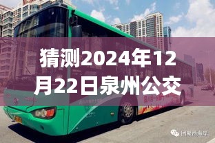 泉州公交車實(shí)時(shí)查詢App使用指南，從初學(xué)者到進(jìn)階用戶，掌握2024年12月22日泉州公交實(shí)時(shí)路線查詢App的實(shí)用技巧與操作指南