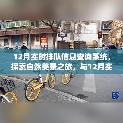 探索自然美景之旅，與實時排隊信息查詢系統(tǒng)共赴心靈寧靜之旅