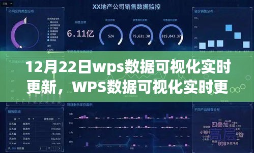 WPS數據可視化實時更新解析，探索12月22日三大要點數據可視化報告