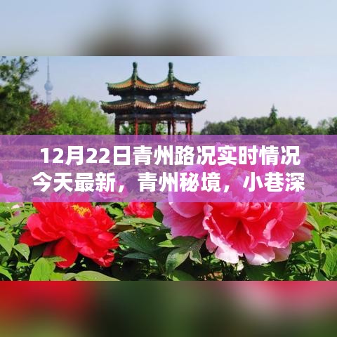 12月22日青州路況實時更新，秘境小巷的風(fēng)情與隱藏寶藏