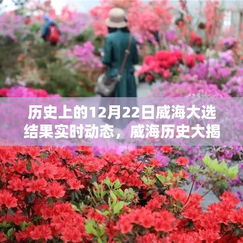 揭秘威海大選，歷史性的12月22日大選結(jié)果實時動態(tài)回顧與解析
