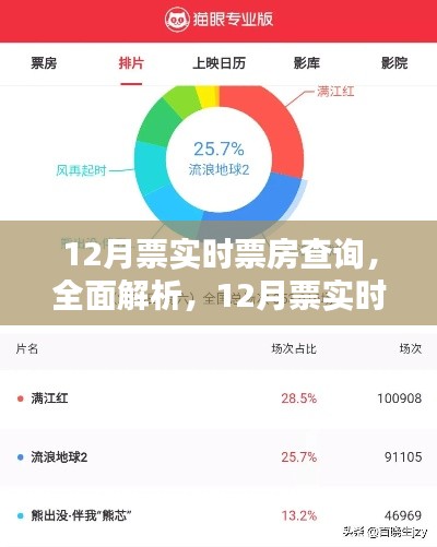 全面解析與深度評測，12月票實時票房查詢應用