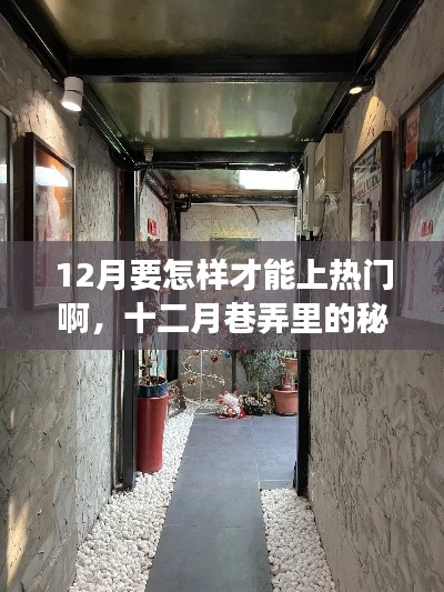 十二月巷弄探秘，特色小店點燃熱門探索之旅