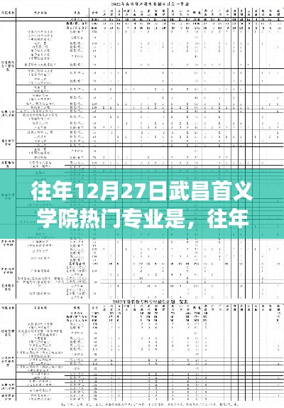 武昌首義學(xué)院熱門(mén)專業(yè)深度解讀，歷年12月27日熱門(mén)專業(yè)概覽