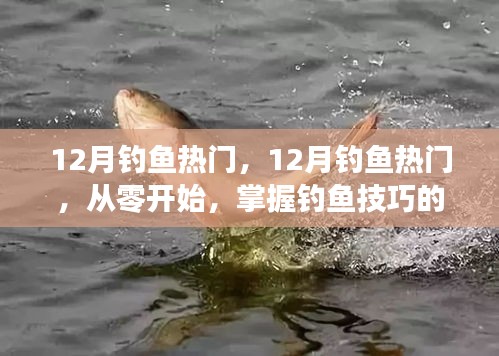 從零開始掌握釣魚技巧，12月釣魚熱門全攻略