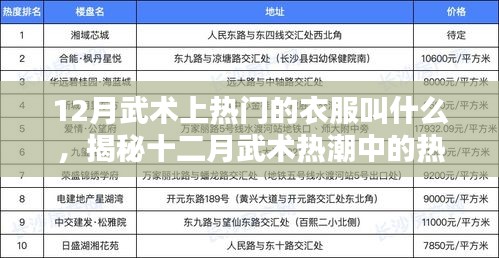 揭秘十二月武術(shù)熱潮中的熱門(mén)服飾名稱，武術(shù)服裝流行趨勢(shì)解析