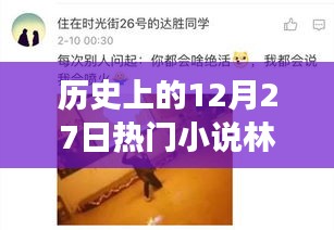 歷史上的12月27日，林天宇與寧麗霞的熱門小說之旅