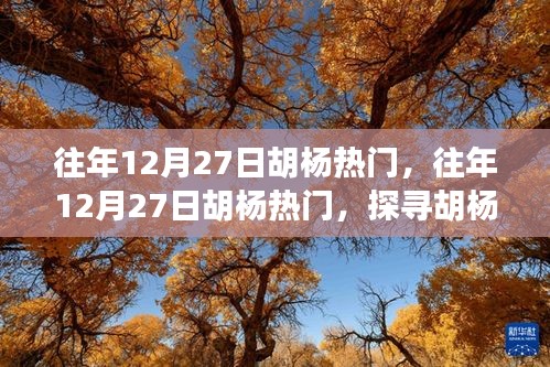 探尋胡楊魅力與熱門事件背后的故事，歷年12月27日胡楊之旅的熱門揭秘