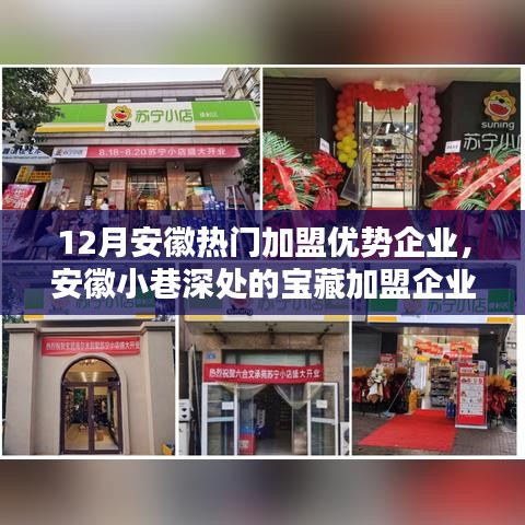 安徽特色加盟企業(yè)探尋，寶藏小店的無限魅力與獨(dú)特優(yōu)勢