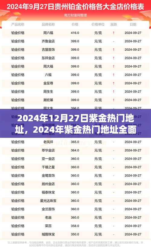 2024年紫金熱門地址全面評測，特性、體驗(yàn)、對比及用戶群體深度解析