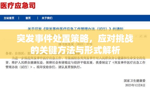 突發(fā)事件處置策略，應(yīng)對挑戰(zhàn)的關(guān)鍵方法與形式解析