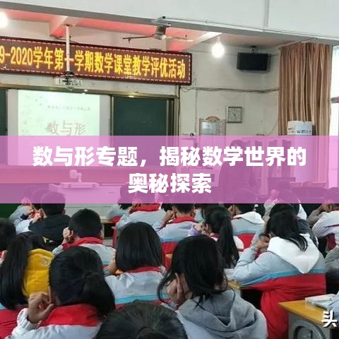 數(shù)與形專題，揭秘?cái)?shù)學(xué)世界的奧秘探索