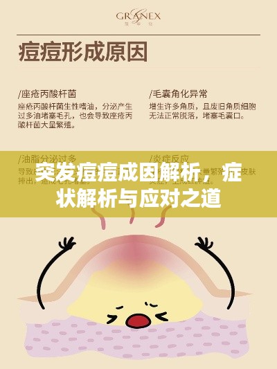 突發(fā)痘痘成因解析，癥狀解析與應(yīng)對(duì)之道