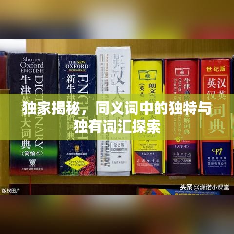 獨(dú)家揭秘，同義詞中的獨(dú)特與獨(dú)有詞匯探索