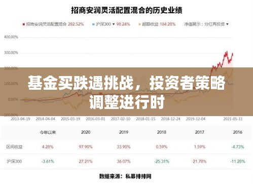 基金買跌遇挑戰(zhàn)，投資者策略調(diào)整進行時