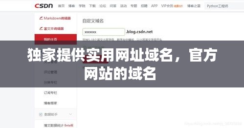 獨(dú)家提供實(shí)用網(wǎng)址域名，官方網(wǎng)站的域名 