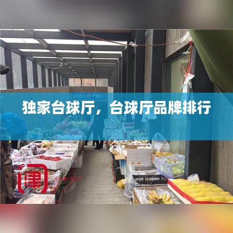 獨(dú)家臺(tái)球廳，臺(tái)球廳品牌排行 