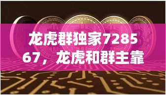 龍虎群獨(dú)家728567，龍虎和群主靠什么賺錢(qián) 