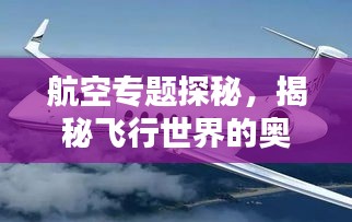 航空專題探秘，揭秘飛行世界的奧秘