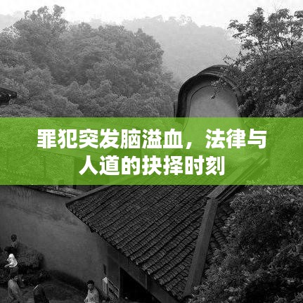 草草收兵 第2頁(yè)