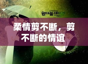 法不阿貴 第2頁