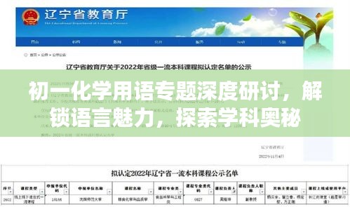初一化學(xué)用語專題深度研討，解鎖語言魅力，探索學(xué)科奧秘