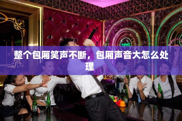 整個包廂笑聲不斷，包廂聲音大怎么處理 