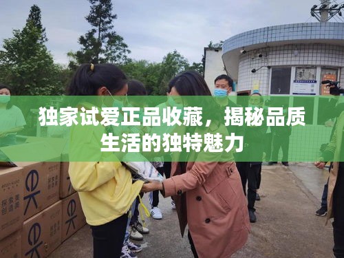 獨(dú)家試愛正品收藏，揭秘品質(zhì)生活的獨(dú)特魅力