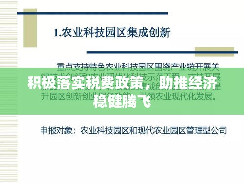 積極落實稅費政策，助推經(jīng)濟穩(wěn)健騰飛