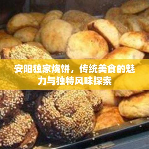 安陽獨家燒餅，傳統(tǒng)美食的魅力與獨特風(fēng)味探索