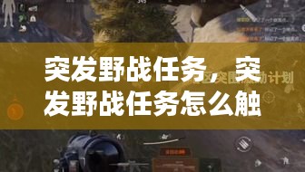 突發(fā)野戰(zhàn)任務(wù)，突發(fā)野戰(zhàn)任務(wù)怎么觸發(fā) 