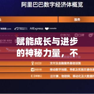 賦能成長與進步的神秘力量，不斷升級的增幅書揭秘