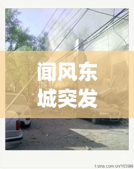 聞風(fēng)東城突發(fā)，聞風(fēng)東城突發(fā)疫情事件 
