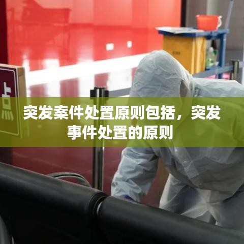 寥寥無幾 第2頁