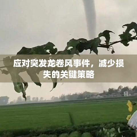 應(yīng)對突發(fā)龍卷風(fēng)事件，減少損失的關(guān)鍵策略