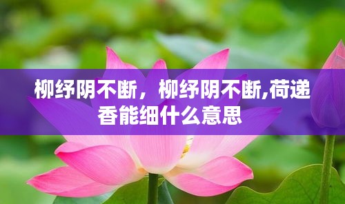 鳥(niǎo)革翬飛 第2頁(yè)