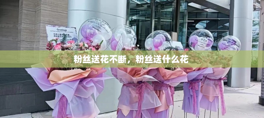 粉絲送花不斷，粉絲送什么花 