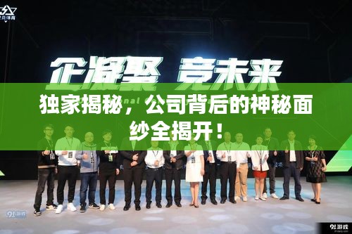獨(dú)家揭秘，公司背后的神秘面紗全揭開！