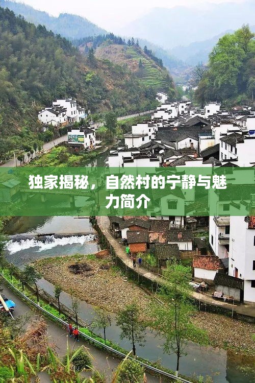 獨(dú)家揭秘，自然村的寧?kù)o與魅力簡(jiǎn)介