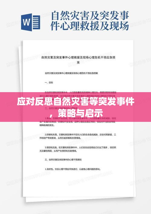 應對反思自然災害等突發(fā)事件，策略與啟示