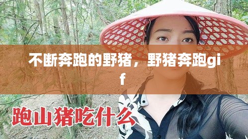 一席之地 第2頁