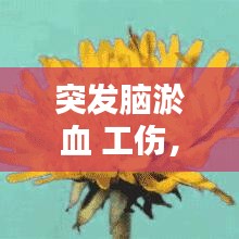 突發(fā)腦淤血 工傷，腦淤血算幾級(jí)傷殘 