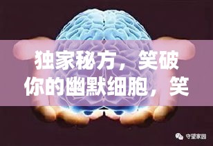 獨家秘方，笑破你的幽默細胞，笑料大解密！