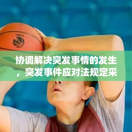 協(xié)調(diào)解決突發(fā)事情的發(fā)生，突發(fā)事件應(yīng)對(duì)法規(guī)定采用調(diào)解 