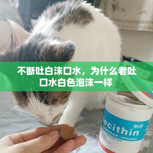 不斷吐白沫口水，為什么老吐口水白色泡沫一樣 