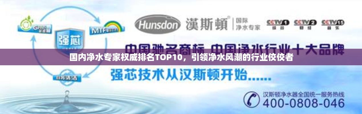 國內(nèi)凈水專家權(quán)威排名TOP10，引領(lǐng)凈水風(fēng)潮的行業(yè)佼佼者