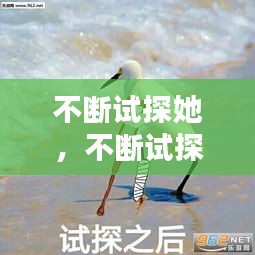 不斷試探她，不斷試探表情包 