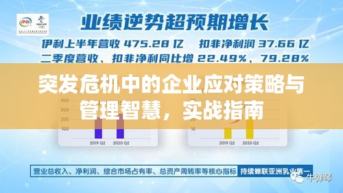 突發(fā)危機(jī)中的企業(yè)應(yīng)對(duì)策略與管理智慧，實(shí)戰(zhàn)指南