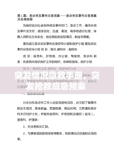 突發(fā)情況急救手冊(cè)，突發(fā)搶救應(yīng)急預(yù)案 