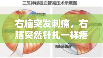 右腦突發(fā)刺痛，右腦突然針扎一樣疼 
